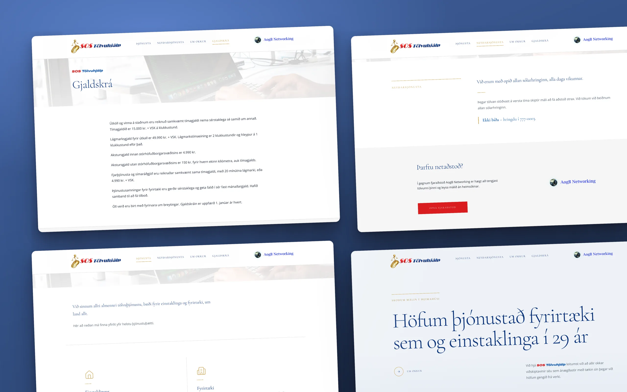 Skjámynd 1 úr vefverkefni fyrir SOS Tölvuhjálp